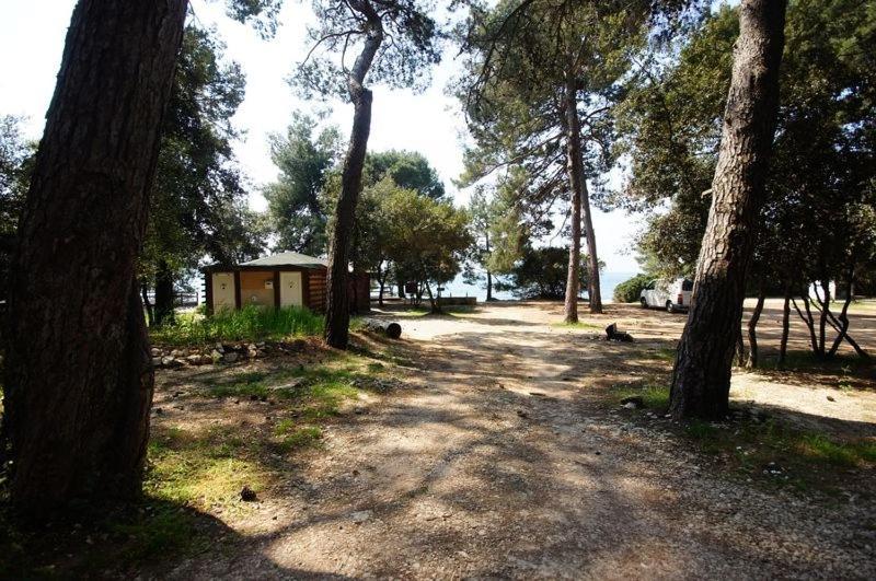 In With Terrace, Air Conditioning, W-lan 81-7 * Rovinj